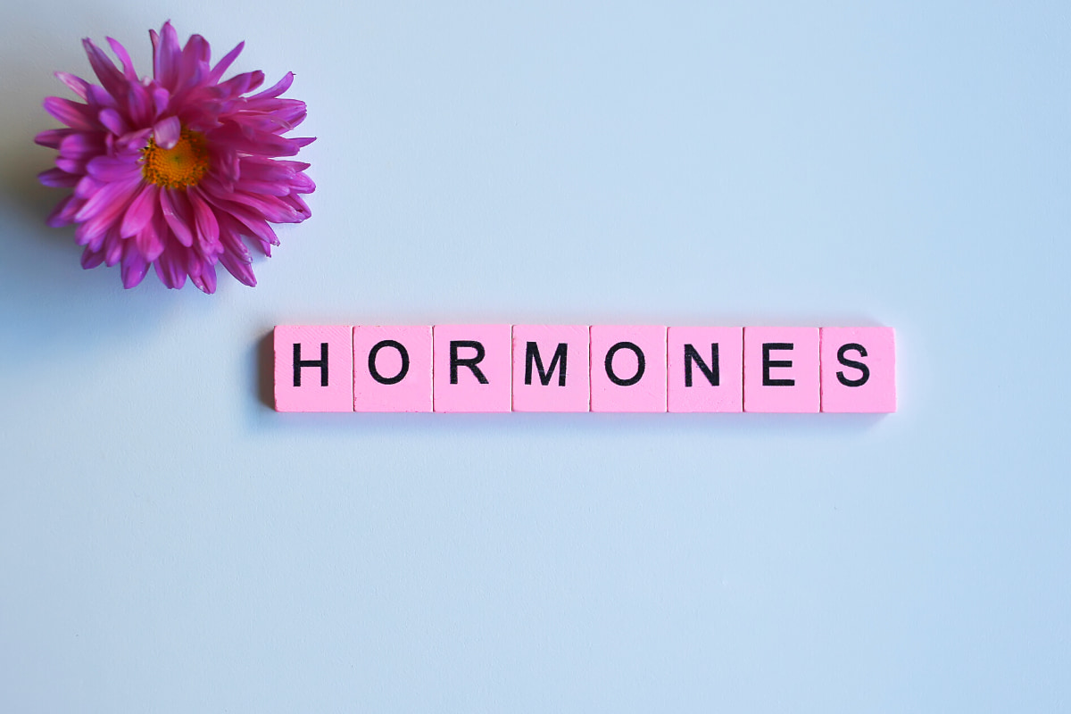 Progesterone-Therapy-Menopause-png